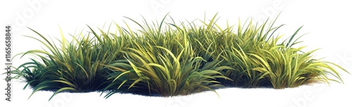 2d grass, Clipart Style, isolated on transparent background
