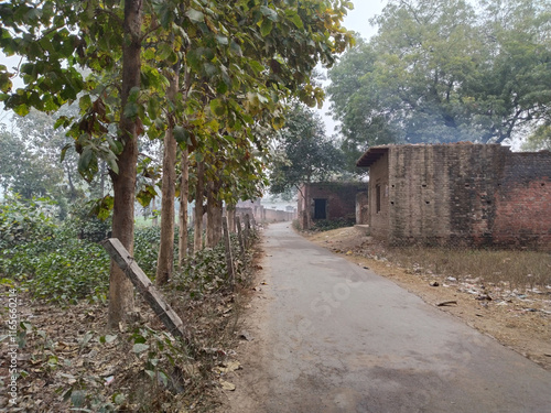 Dusty street in the Indian village of Varanasi, India. photo