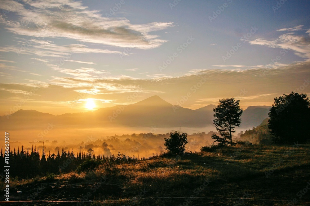 Obraz premium sunset in the forest