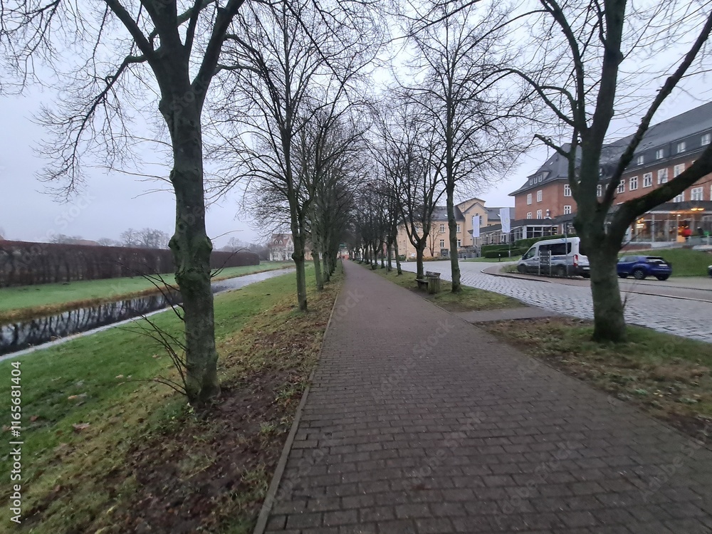 Naturpfad in Stralsund, Mecklenburg - Vorpommern: Zur Dezemberzeit Naturpfad in Stralsund, Mecklenburg - Vorpommern: Zur Dezemberzeit