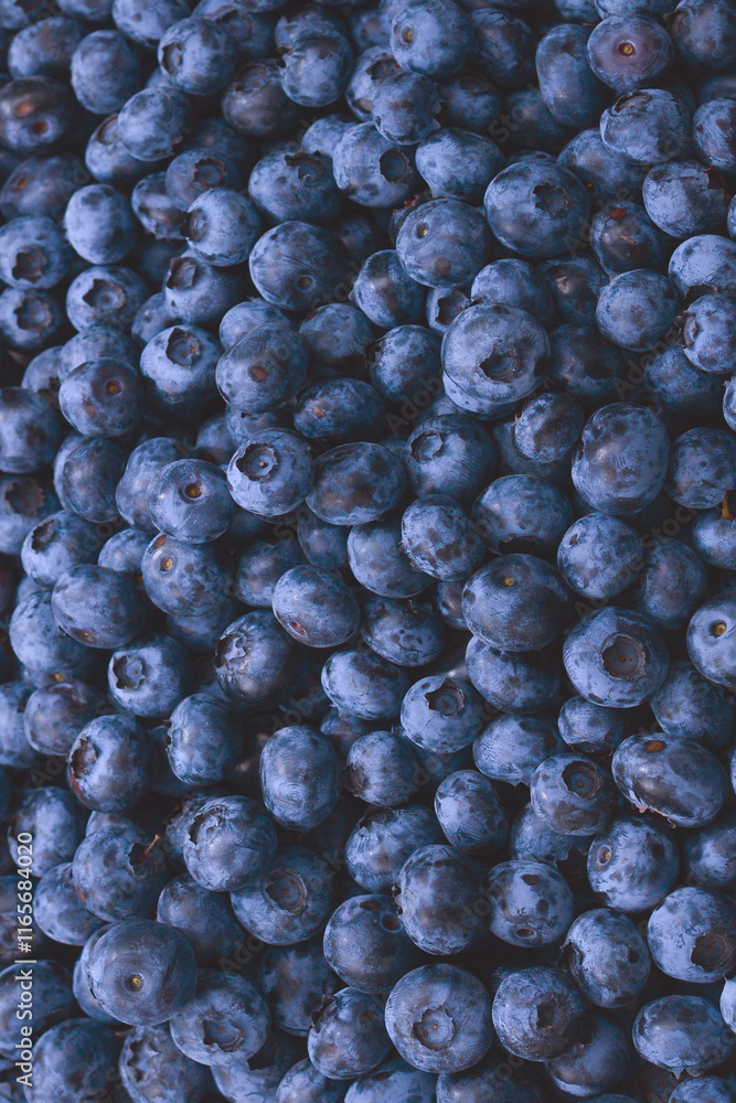 Fresh blueberry background. Texture blueberry berries close up. Fresh blueberry background. Texture blueberry berries close up.