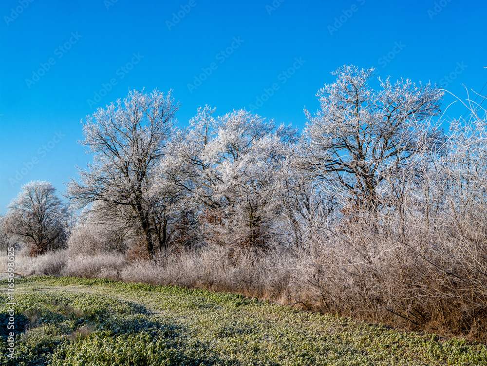 Winter landscape near Hohenbrunn in Germany. Winter landscape near Hohenbrunn in Germany.