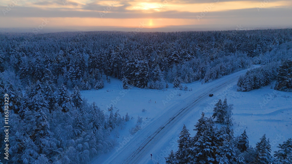 The car is driving along the road in a snow-covered white spruce forest at sunset The car is driving along the road in a snow-covered white spruce forest at sunset