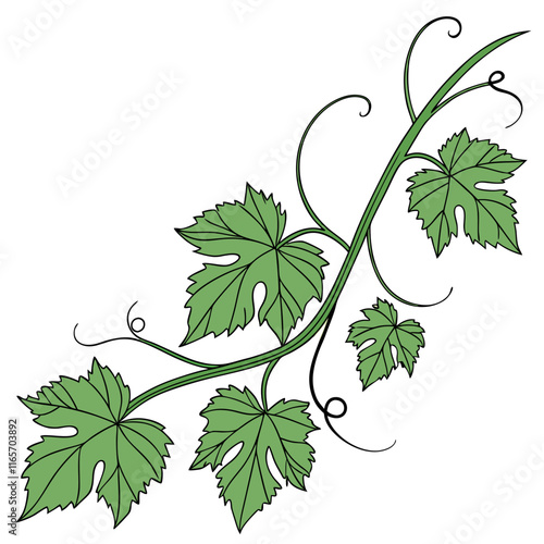 vine leaves background