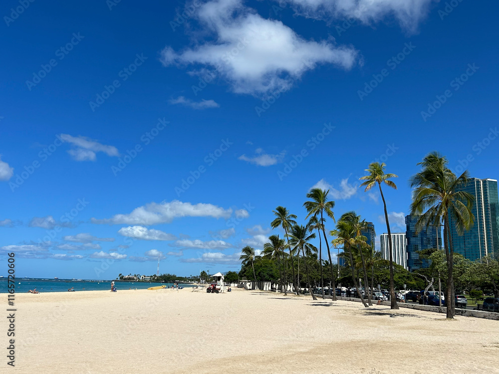 Hawaiian beach lined with palm trees Hawaiian beach lined with palm trees