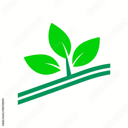 green leaf on a white background