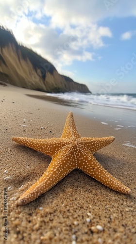 Starfish on sandy beach with ocean waves and cloudy sky during daytime