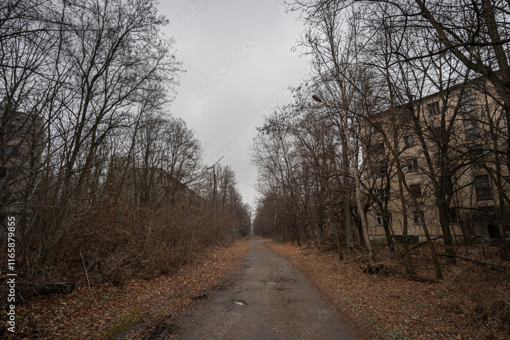 Abandoned street in Prypyat city, Ukraine. Abandoned street in Prypyat city, Ukraine.
