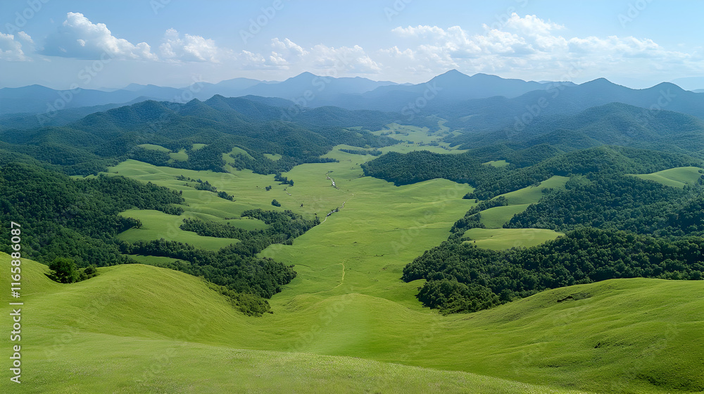 Obraz premium Green Mountain Valley Landscape Photo