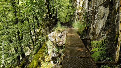 Sentier des Roches dans les Vosges massif du Hohneck - France 