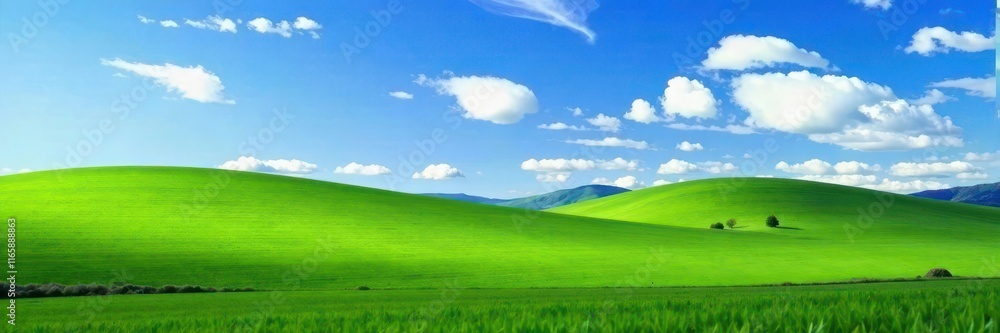 Rolling hills of emerald grass under a vast, clear blue sky dotted with cumulus clouds , hills, clouds, image Rolling hills of emerald grass under a vast, clear blue sky dotted with cumulus clouds , hills, clouds, image