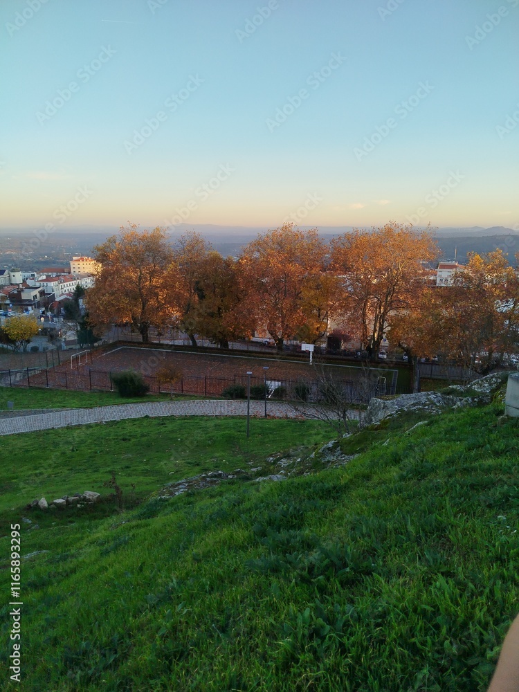 Obraz premium autumn landscape with a trees