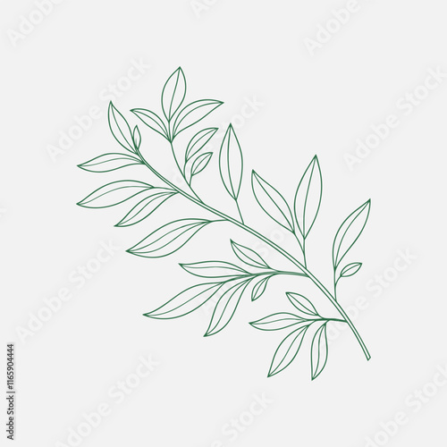 A charming hand drawn outline of a delicate willow leaf