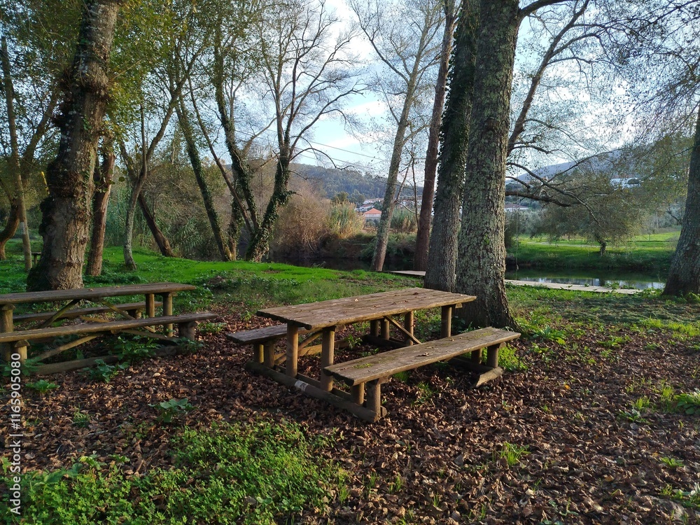 wooden bench in the park, Portugal, vila nova de ceira wooden bench in the park, Portugal, vila nova de ceira