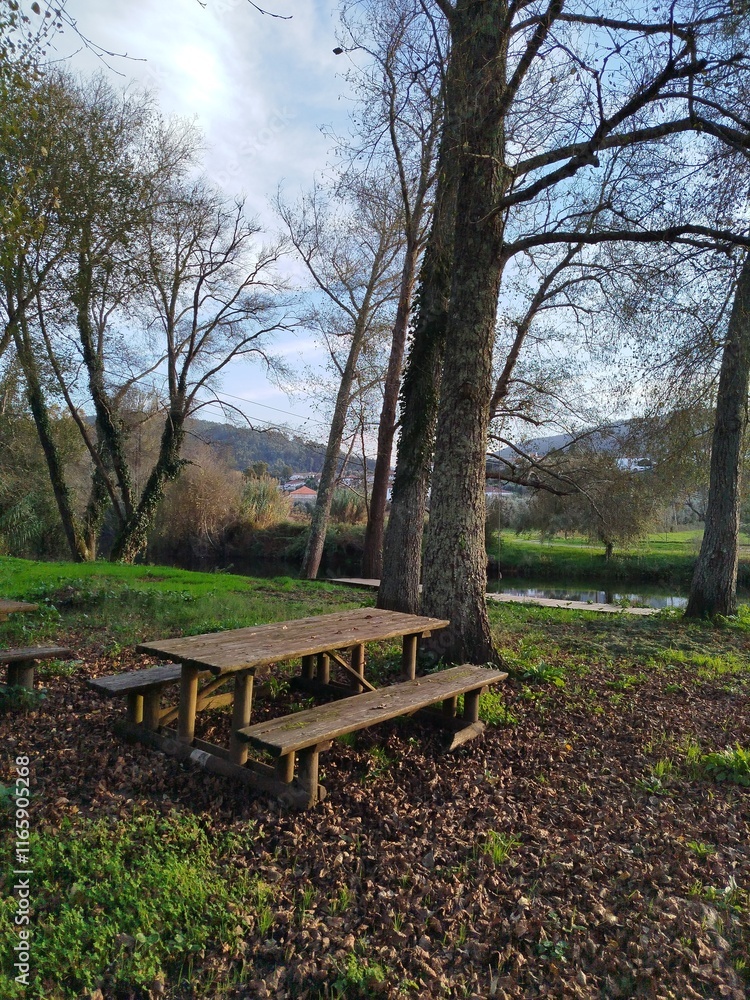 wooden bench in the park, Portugal, vila nova de ceira wooden bench in the park, Portugal, vila nova de ceira