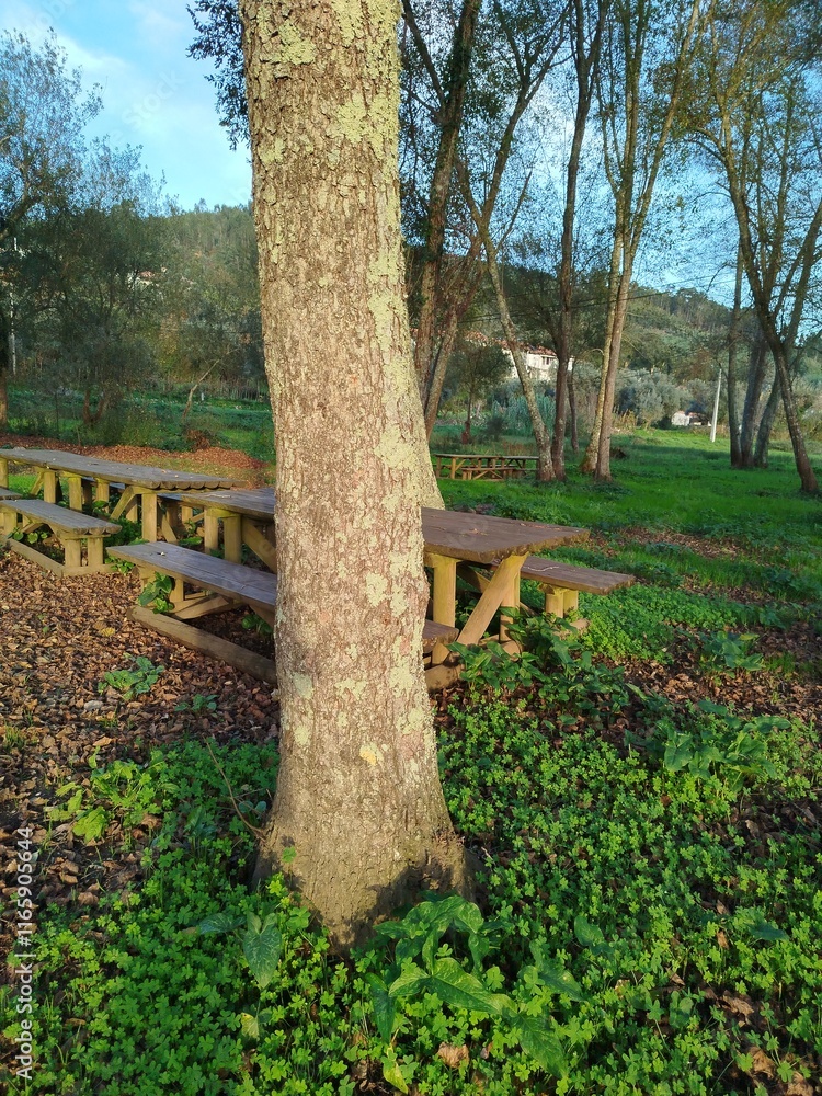 bench in the park bench in the park