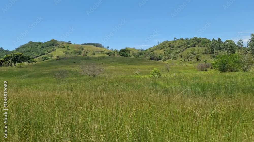 landscape with grass landscape with grass
