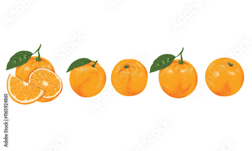 Orange art. Summer food poster design. Orange fruit set. Fresh lemon fruit print. Nature fruit club print design. Organic food artwork for for t shirt and poster.