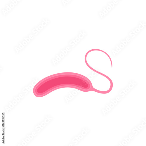 Vibrio cholerae illustration