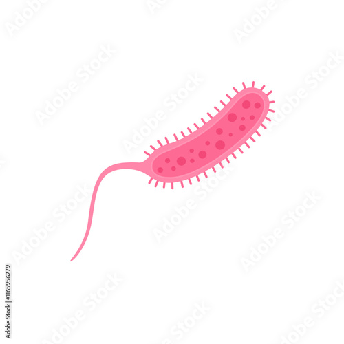 Vibrio cholerae illustration