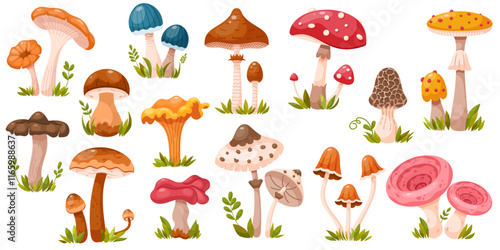 Collection of various colorful mushrooms. Set of edible and poisonous forest mushrooms. Forest grass and leaves. Cartoon vector illustration isolated on a white background.