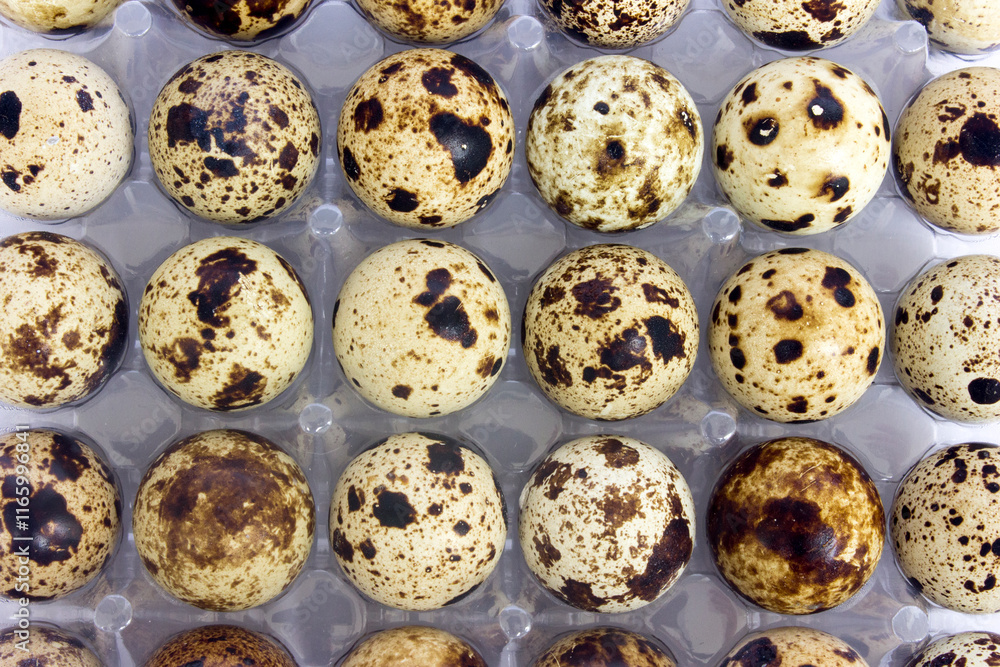 Directly above shot of eggs on white background. Directly above shot of eggs on white background.