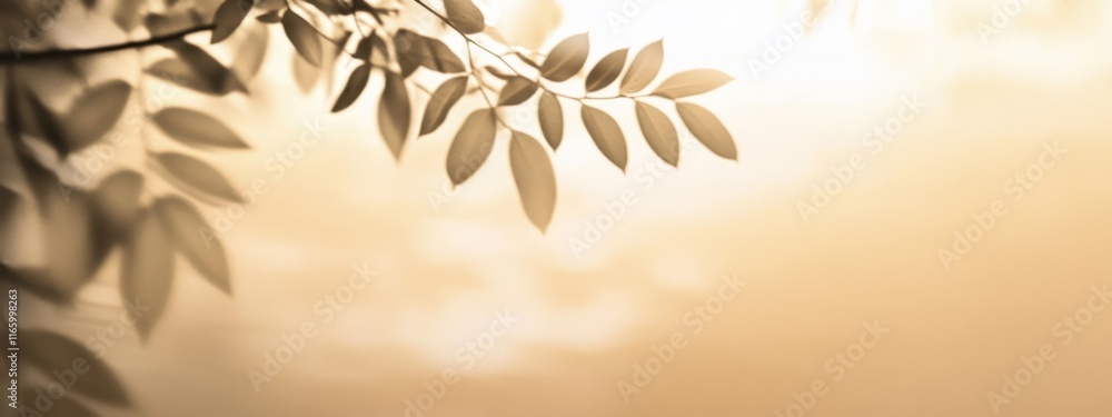 custom made wallpaper toronto digitalGolden sunlight, tree branch silhouette, warm autumn tones, abstract background, soft focus, ethereal glow, dappled light, serene atmosphere, nature-inspired, minimalist composition, textured surface,