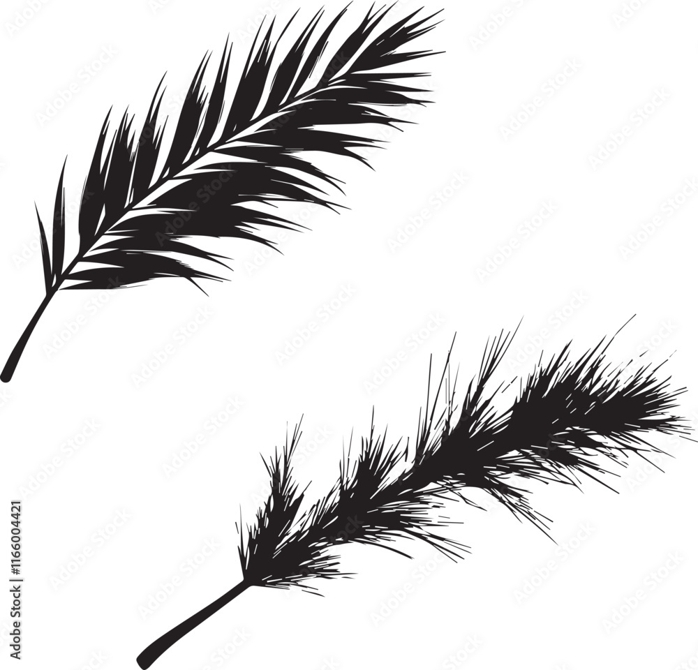 Obraz premium Pine leaf silhouette isolated on white background