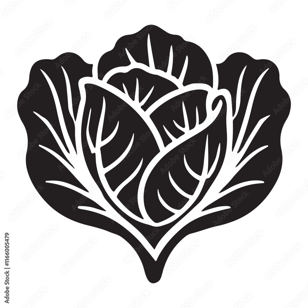 Cabbage Silhouette Illustration of Fresh Vegetable Cabbage Silhouette Illustration of Fresh Vegetable