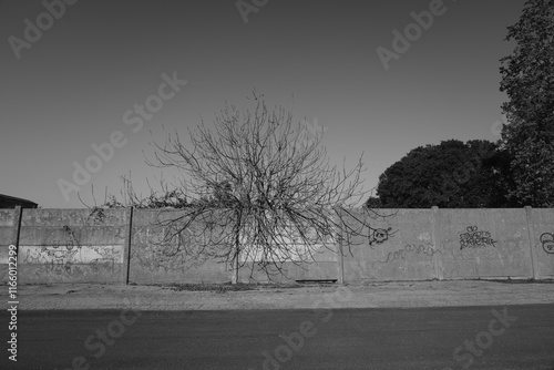 ruins of old factories in the Ravenna dock area photo