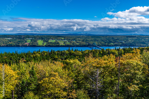 Photography A panorama view over the forest  towards the Seal Island Bridge on the trans can