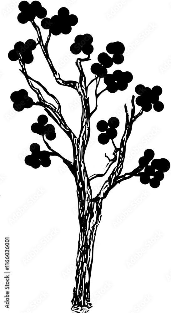 Naklejka premium silhouette of a tree