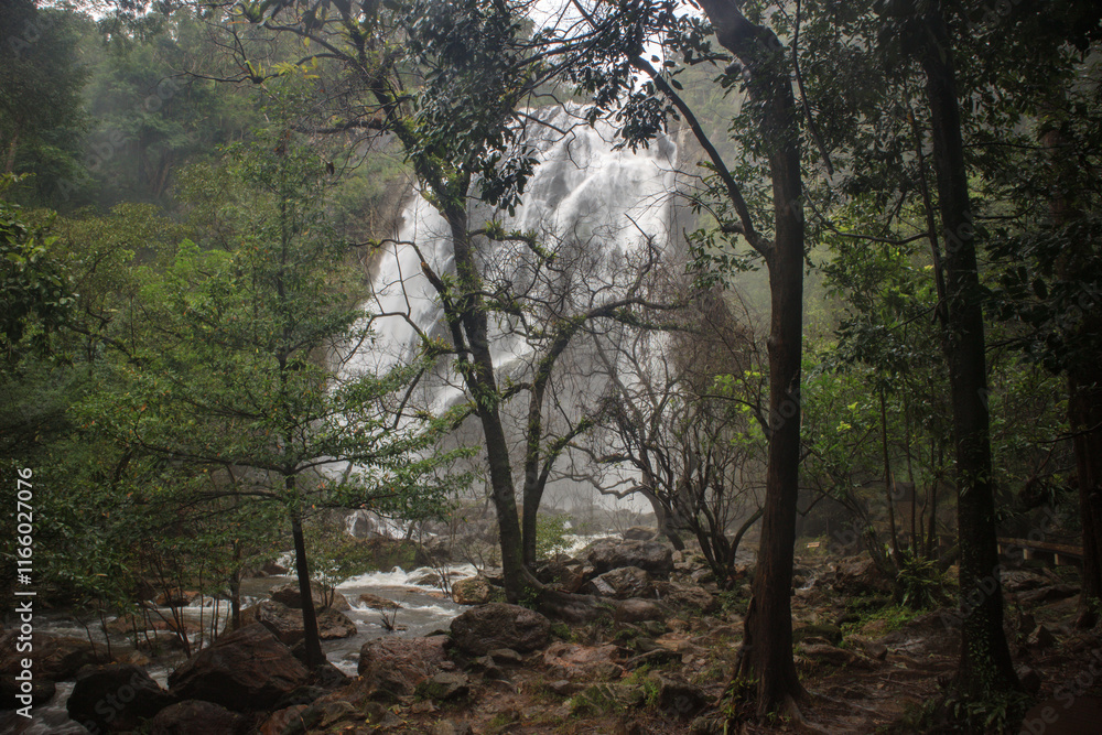 Fototapeta premium Khlong Lan Waterfall, lush green forest, complete forest area in Khlong Lan National Park