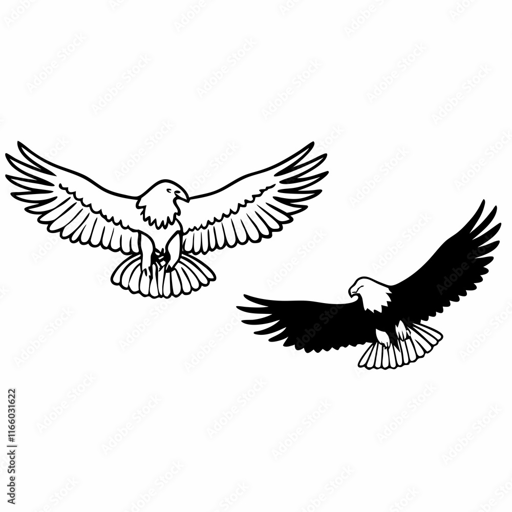 Obraz premium eagle in flight