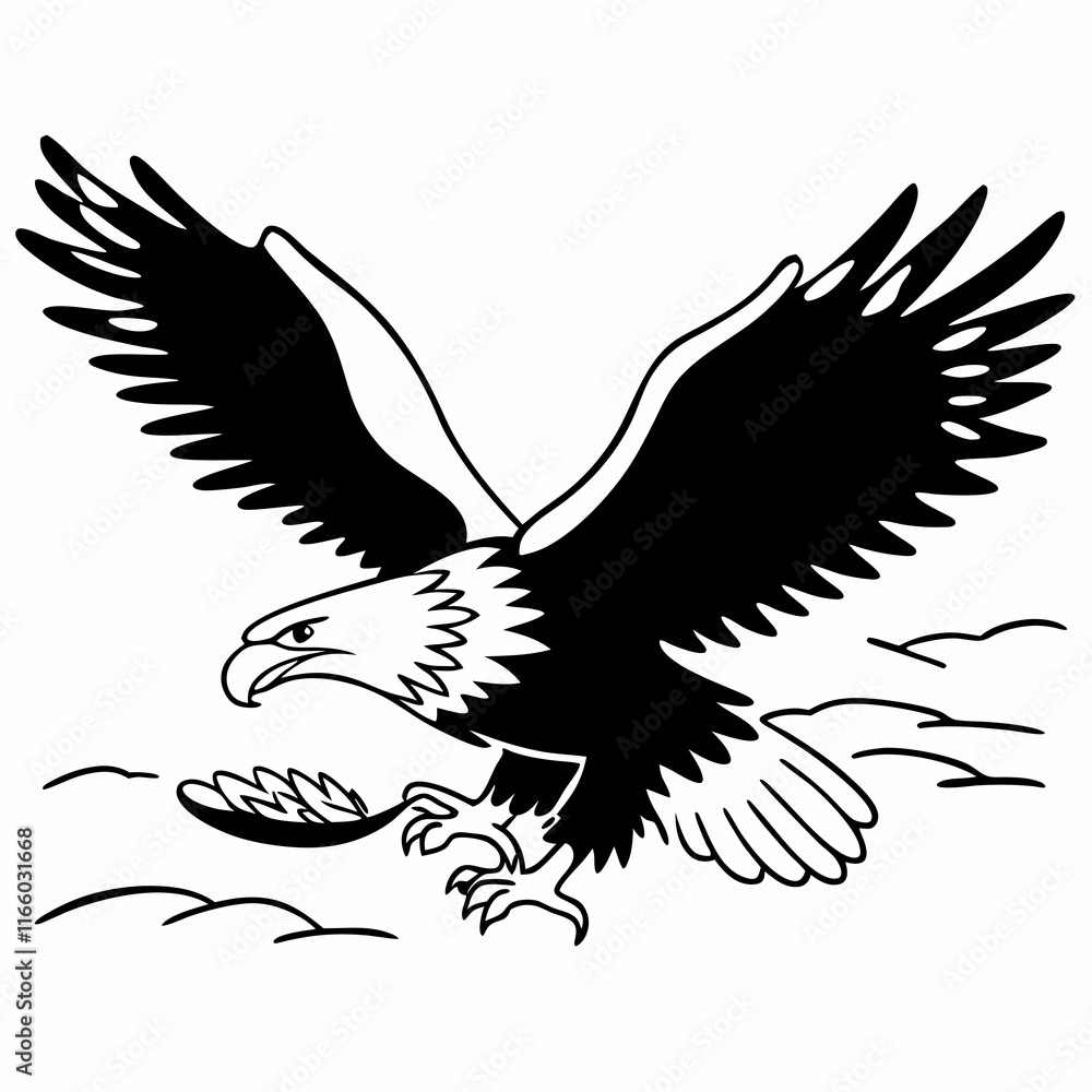 Obraz premium eagle in flight