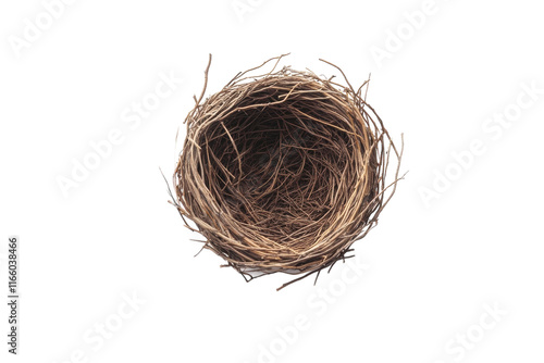 Simple Nest Made from Natural Materials photo