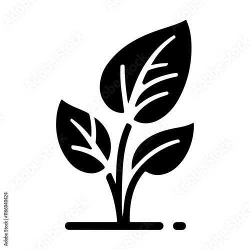 Tropical Taro Plant Icon Vector with Monochrome Silhouette for a Minimalistic Botanical Style  