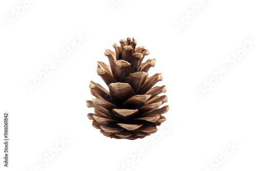 Decorative Pine Cone for Table Centerpieces photo