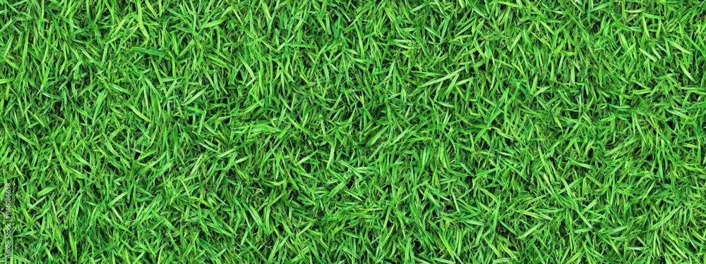 Lush green grass texture, seamless pattern, close-up view, vibrant lawn, sports field turf, natural background, detailed grass blades, fresh spring grass, golf course putting green, manicured lawn, hi Lush green grass texture, seamless pattern, close-up view, vibrant lawn, sports field turf, natural background, detailed grass blades, fresh spring grass, golf course putting green, manicured lawn, hi