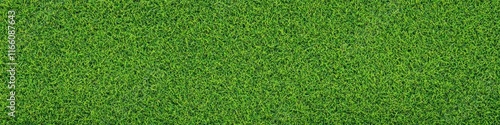 Lush green grass texture, seamless pattern, close-up view, vibrant lawn, sports field turf, natural background, detailed grass blades, fresh spring grass, golf course putting green, manicured lawn, hi