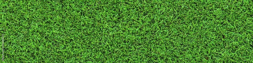 Lush green grass texture, seamless pattern, close-up view, vibrant lawn, sports field turf, natural background, detailed grass blades, fresh spring grass, golf course putting green, manicured lawn, hi Lush green grass texture, seamless pattern, close-up view, vibrant lawn, sports field turf, natural background, detailed grass blades, fresh spring grass, golf course putting green, manicured lawn, hi