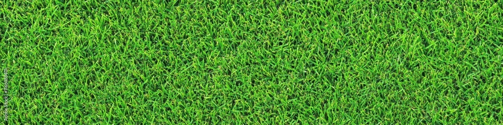 Lush green grass texture, seamless pattern, close-up view, vibrant lawn, sports field turf, natural background, detailed grass blades, fresh spring grass, golf course putting green, manicured lawn, hi Lush green grass texture, seamless pattern, close-up view, vibrant lawn, sports field turf, natural background, detailed grass blades, fresh spring grass, golf course putting green, manicured lawn, hi
