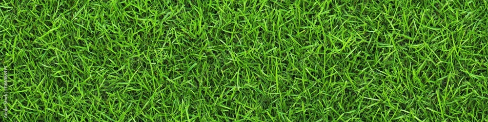 Lush green grass texture, seamless pattern, close-up view, vibrant lawn, sports field turf, natural background, detailed grass blades, fresh spring grass, golf course putting green, manicured lawn, hi Lush green grass texture, seamless pattern, close-up view, vibrant lawn, sports field turf, natural background, detailed grass blades, fresh spring grass, golf course putting green, manicured lawn, hi