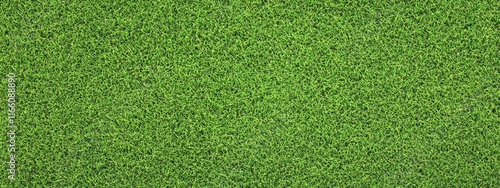 Lush green grass texture, seamless pattern, close-up view, vibrant lawn, sports field turf, natural background, detailed grass blades, fresh spring grass, golf course putting green, manicured lawn, hi