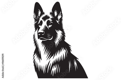 German Shepherd portrait photo