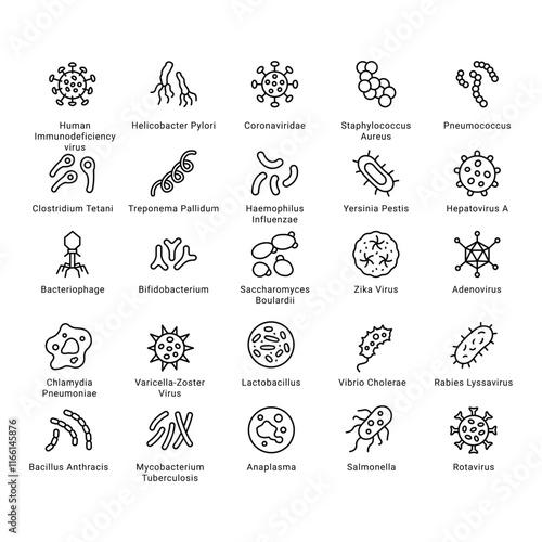 Bacteria , Germs and Virus