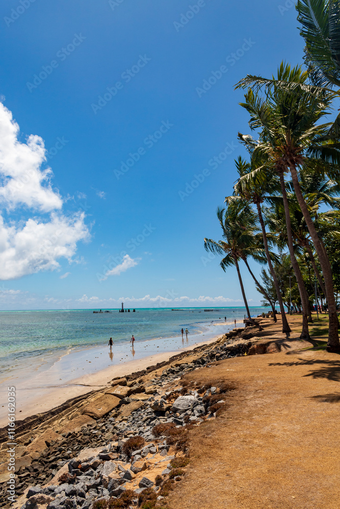 coqueiros e a orla da praia da Ponta Verde em Maceió Alagoas Brasil coqueiros e a orla da praia da Ponta Verde em Maceió Alagoas Brasil
