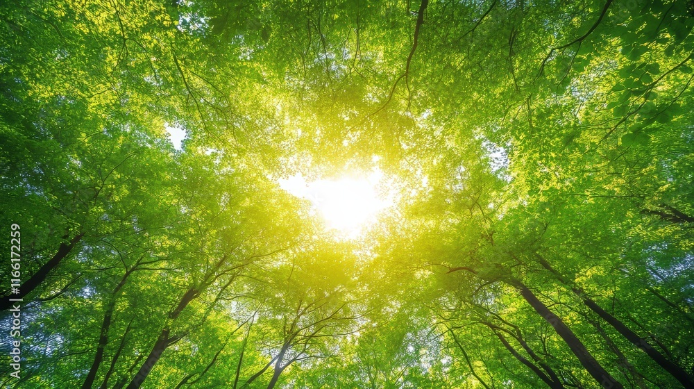 Fototapeta premium Bright Sunlight Filters Through Vibrant Green Tree Leaves in a Lush Forest During Midday, Creating a Serene Natural Environment for Relaxation and Exploration