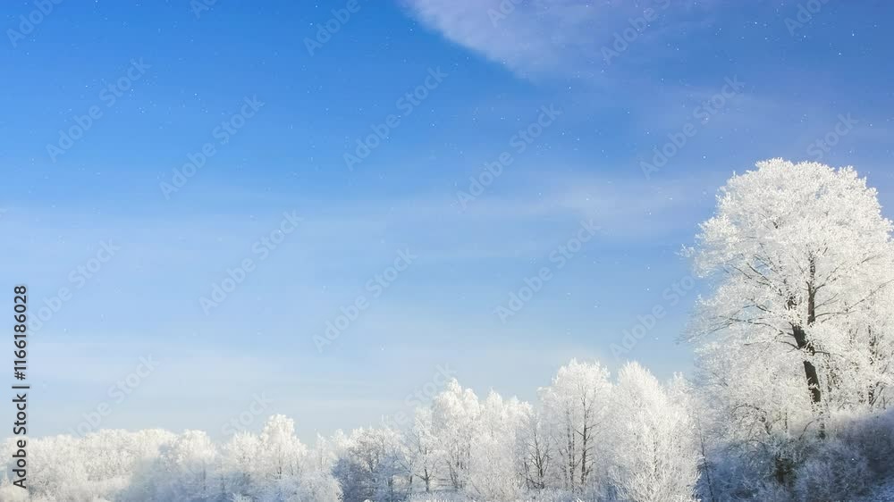 Beautiful winter white trees and blue sky with falling snow. Forest, park, peace, calm, scene, nature, walk, ice, icy, cold, clean, clear, snowy, day, land, view, pan, ultra hd. 4K. ProRes 422 HQ. Beautiful winter white trees and blue sky with falling snow. Forest, park, peace, calm, scene, nature, walk, ice, icy, cold, clean, clear, snowy, day, land, view, pan, ultra hd. 4K. ProRes 422 HQ.
