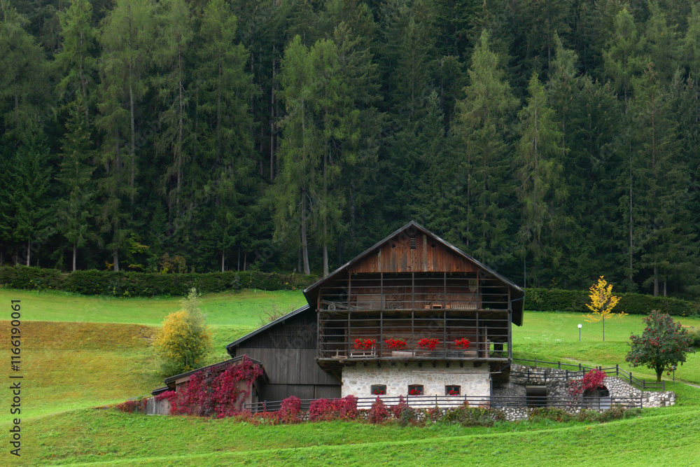Obraz premium Mountain farm in Ortisei in Val Gardena, Italy